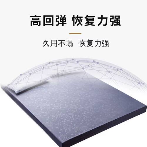 95D高密度海绵床垫加厚家用租房专用学生宿舍榻榻米硬垫软垫褥子 - 图0