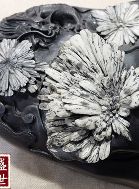 地方书法复古风文房学业菊花石