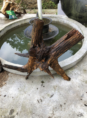 天然枯木树根摆件造景木头装饰