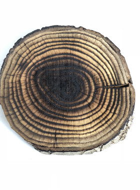 碳化年轮复古风木头画背景墙装饰