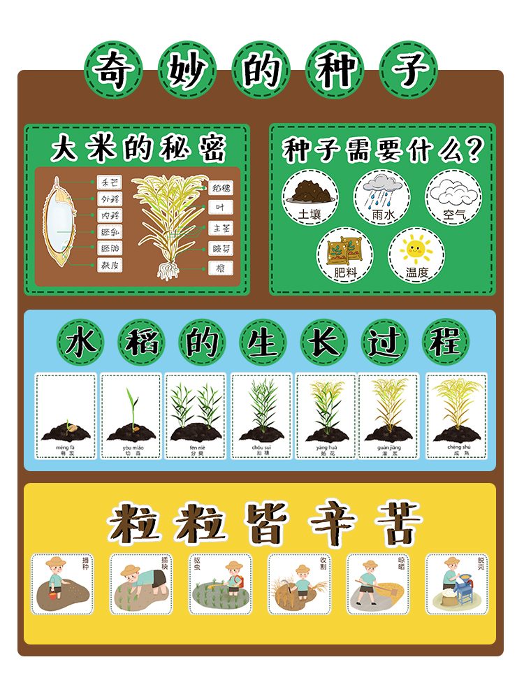 幼儿园手工制作材料半成品玩教具自制区域科学区植物区种子装饰-图3