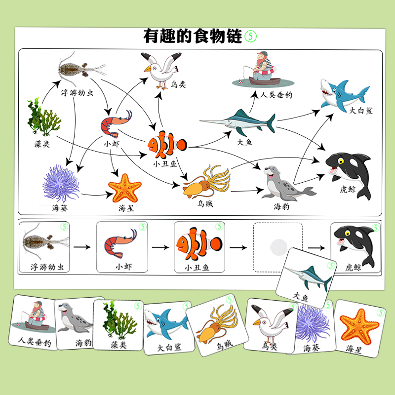 幼儿园科学区教玩具有趣的食物链动物找天敌认识益虫害虫科普教材 - 图2