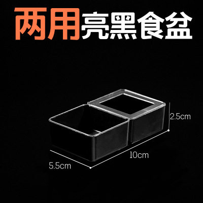 爬宠防逃二合一两用食盆水盆守宫鬃狮蜥蜴面包虫杜比亚喂食饮水盆,淘宝优惠券,粉丝福利购,淘宝优惠卷