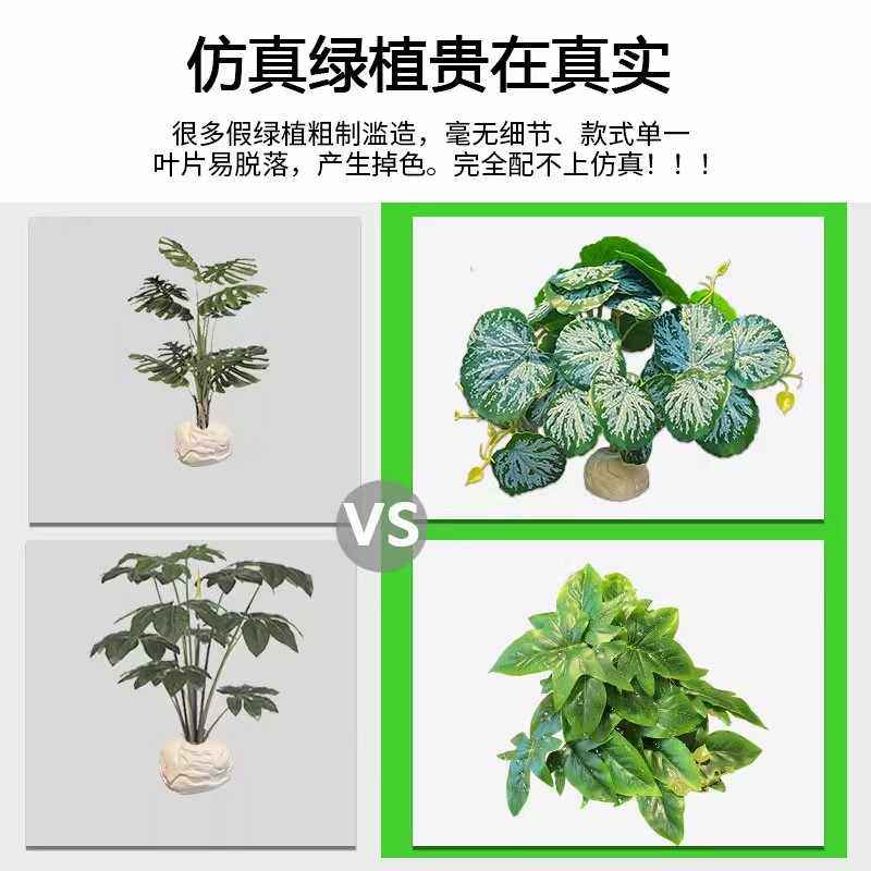 爬虫箱造景仿真植物水陆生态雨林缸陆龟蜥蜴守宫植物摆件盆景装饰,淘宝优惠券,粉丝福利购,淘宝优惠卷