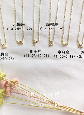 十二星座幸运迷你项链特价
