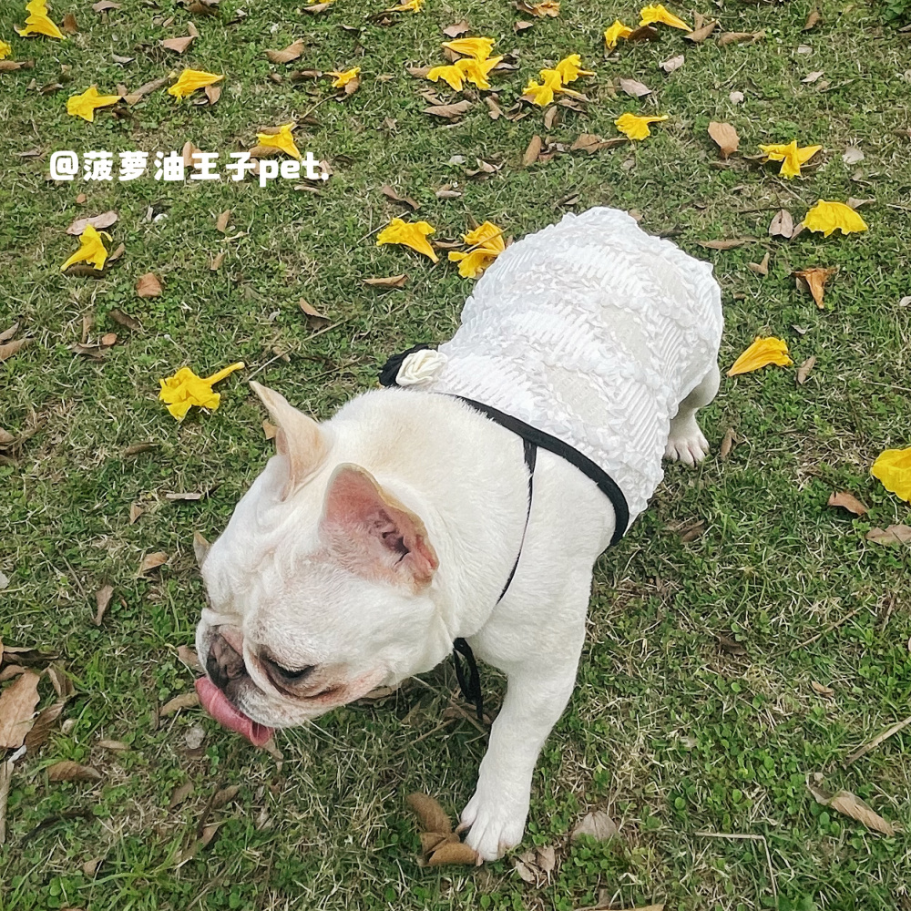 新款宠物春夏蕾丝镂空小香风网眼吊带背心法斗雪纳瑞胖狗狗衣服-图1