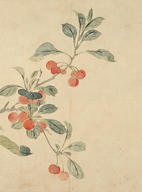 恽寿平花鸟草虫凝晖阁高清