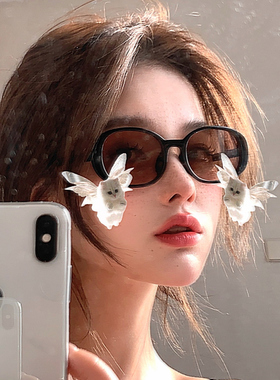 复古椭圆形黑框茶色太阳镜2025新