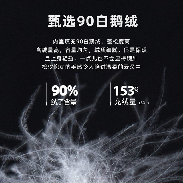 Beautiful Inn Large Size Casual 90 Goose Down Clothes