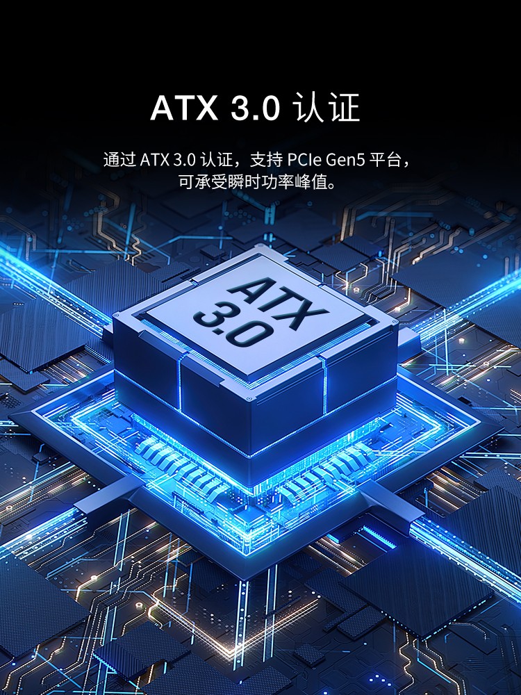 海盗船RM1200x SHIFT 1200W 金牌全模组台式机电源ATX3.0/PCIe5 - 图0