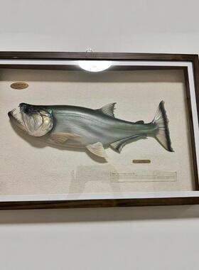 吸血鬼食人鱼巨暴鱼装饰画