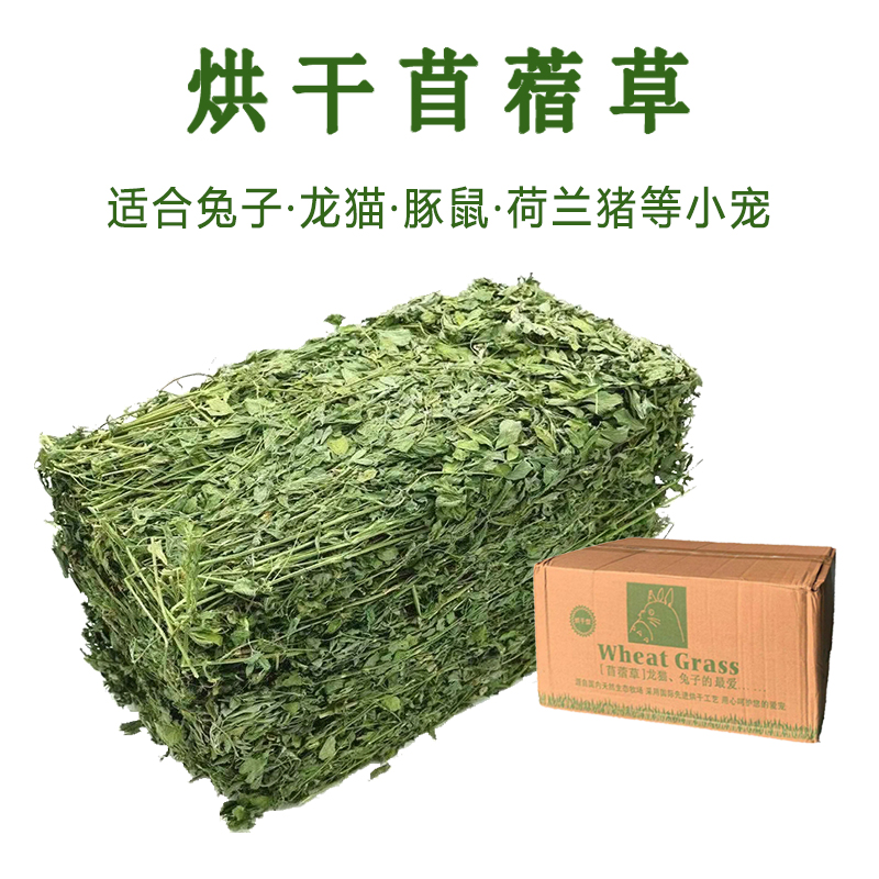 24年烘干大叶苜蓿草宠物豚鼠兔子牧草归乡提荷兰猪龙猫兔粮饲草-图0