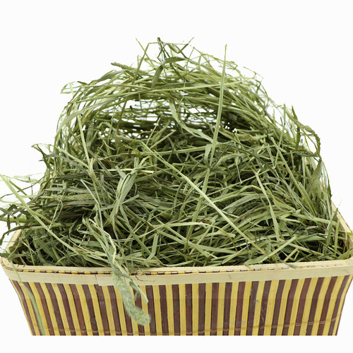 26年新提摩西草兔子专用干草宠物牧草荷兰猪草料兔粮兔草晒干提草 - 图3