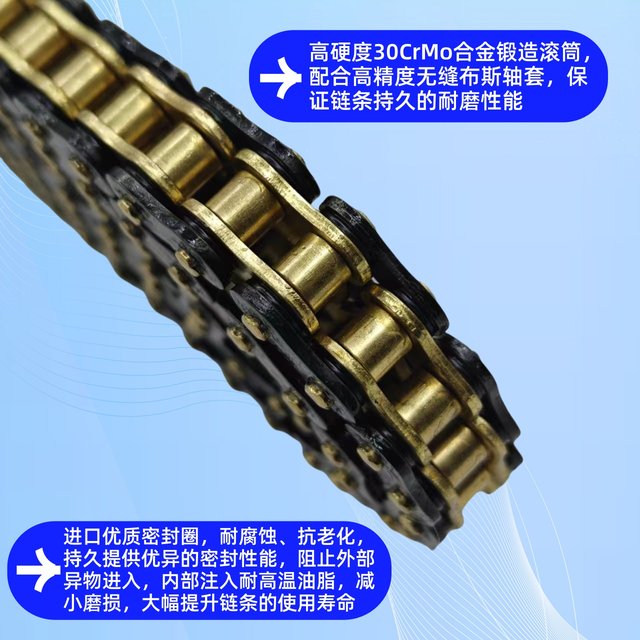 EFI Weiling S150 Silent Chain Disc Oil Seal Chain