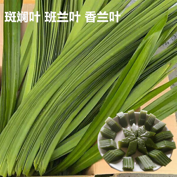 新鲜香兰叶500g班兰叶甲抛叶斑斓蛋糕千层糕芒果糯米饭调料香料_虎窝淘