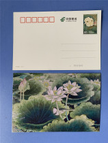 Lotus and Tilian pattern 80 Postage Postcard No Address Postal Code Fidelity I Stroke Lotus Pattern