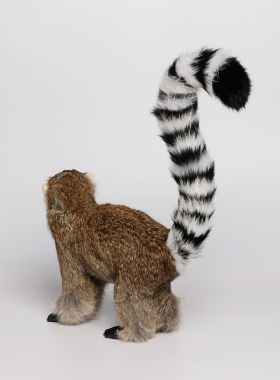 仿真狐猴动物模型摆件