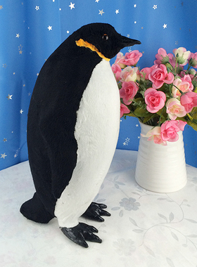 帝企鹅儿童玩具海洋生物南极模型