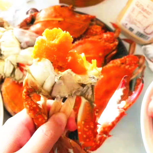 3-9两/只北京闪送活海蟹沙母蟹红膏蟹海鲜满黄满肉梭子蟹 飞蟹 - 图2