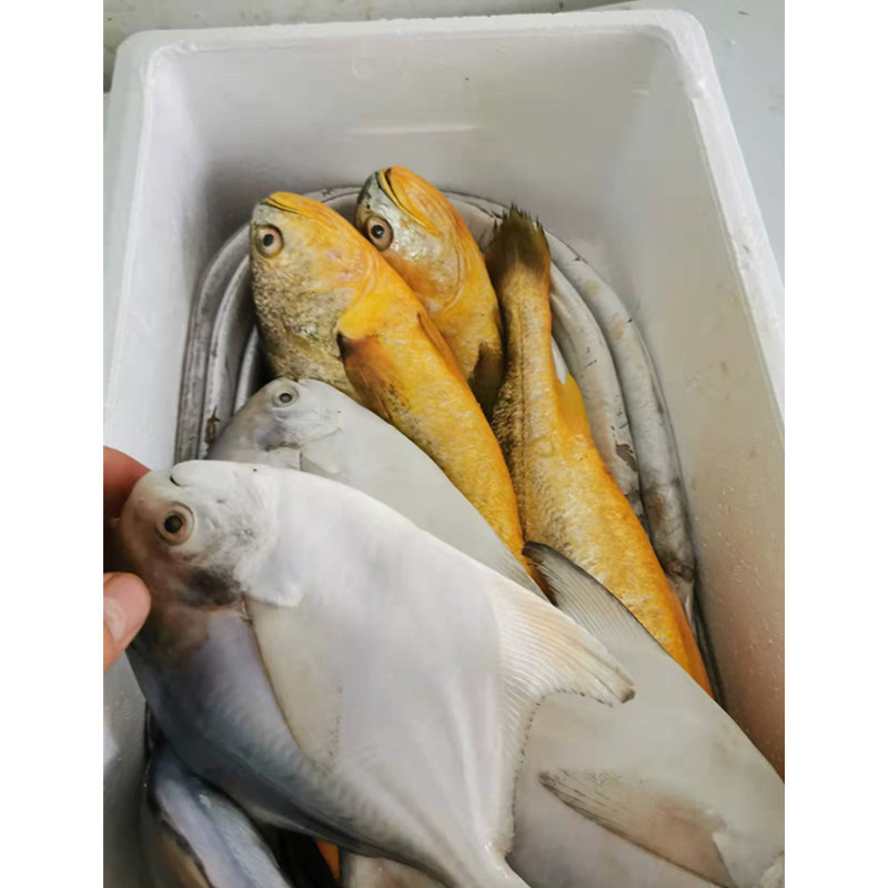 北京闪送海鲜大礼包现货海鲜礼盒冰鲜冷冻套餐春节年货送礼品,淘宝优惠券,粉丝福利购,淘宝优惠卷