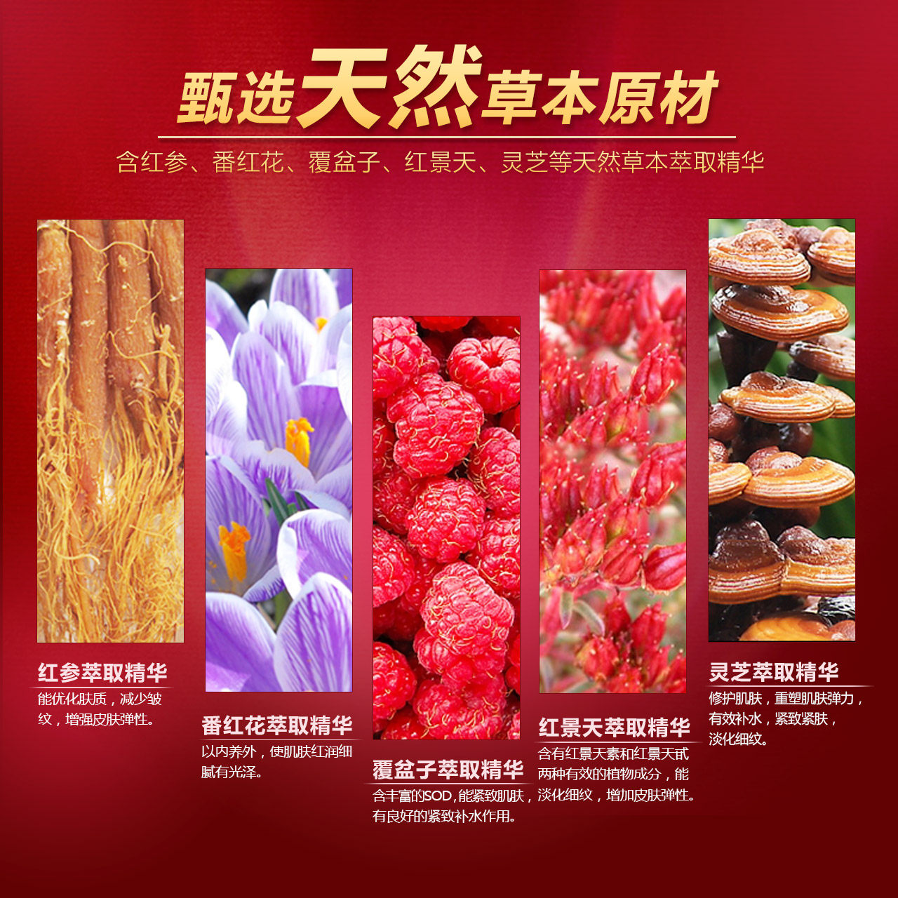 美肤宝驻颜抗皱提拉紧致补水爽肤水 美肤宝红动化妆水/爽肤水