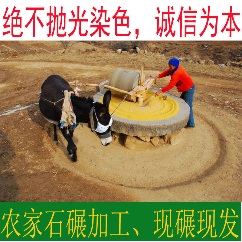 春小米沂蒙山地农家自产新鲜春谷子去皮加工黄小米月子米包邮500g-图1