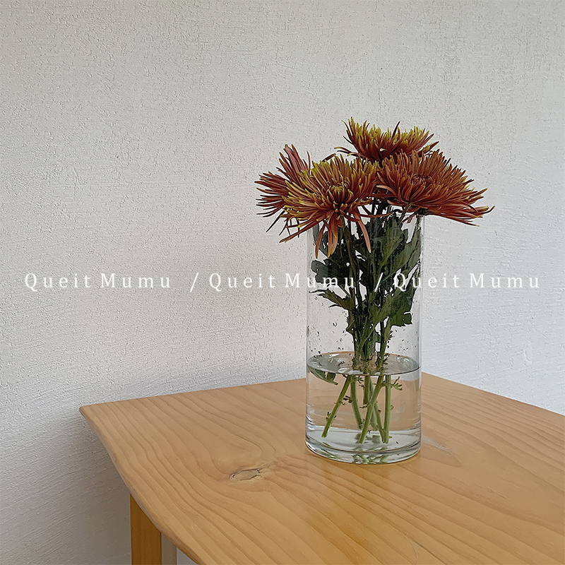 quiet mumu* 北欧风花瓶直筒宽口玻璃透明郁金香水养插花鲜花网红 - 图1