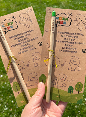 定制名字可发芽铅笔环保种子笔创意小礼物卡纸定制学生奖励小礼品