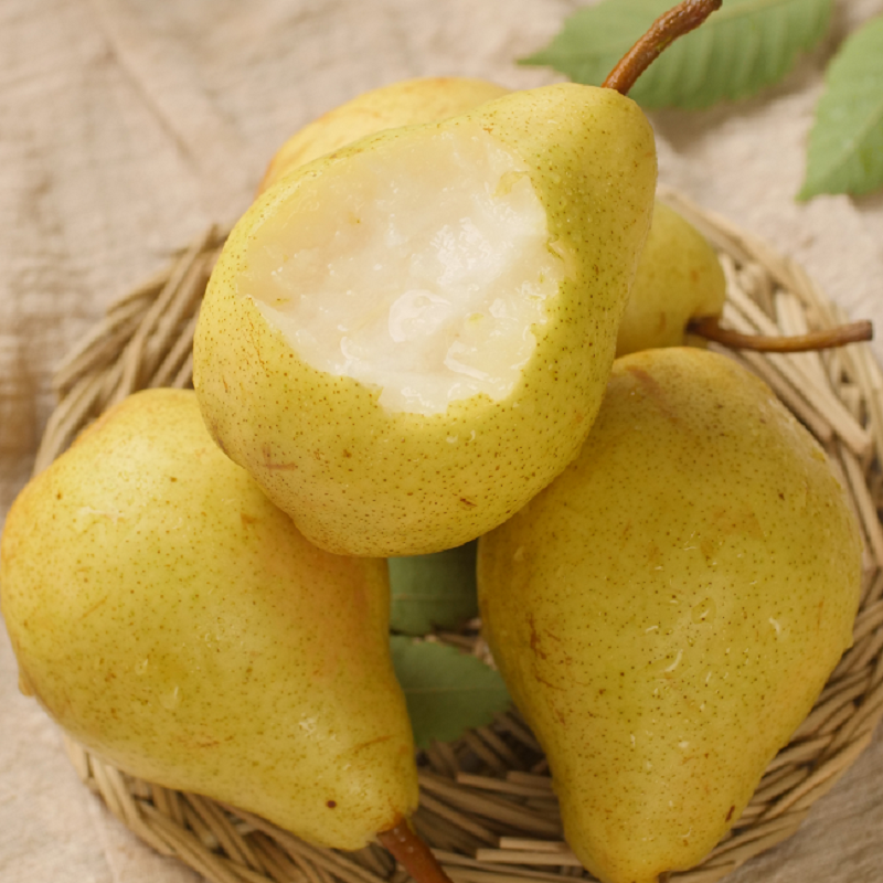 正宗山东烟台太婆梨软梨子新鲜水果当季孕妇水果葫芦梨大头梨茄梨,淘宝优惠券,粉丝福利购,淘宝优惠卷