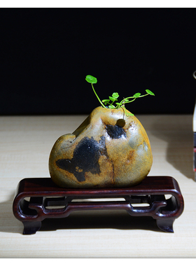 HQ002天然石头大化石大湾石铜钱草绿萝茶台水培插花花盆花器花瓶