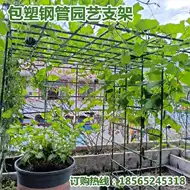 植物棚架 新人首单立减十元 21年8月 淘宝海外