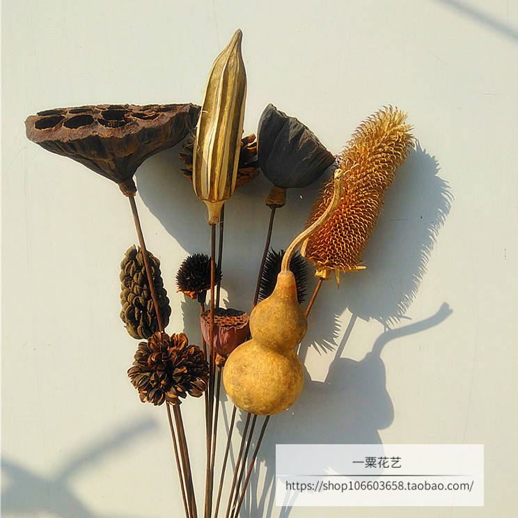 禅意莲蓬木棉花风干插花棉花干花花束装饰家居摆件小清新拍照道具 一粟花艺 淘优券