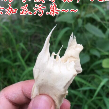 古法熬制敲糖 农家纯手工麦芽糖 糖瓜灶糖打糖饴糖叮叮糖 包邮 - 图1