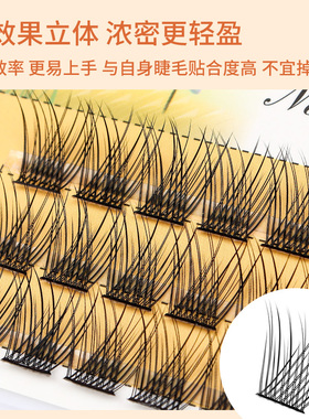 分段式懒人鱼尾假睫毛自然浓密