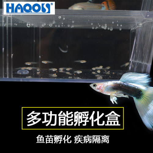 亚克力鱼缸隔离孵化盒水族箱缸内使用孔雀鱼繁殖孵化盒缸外使用盒 - 图1