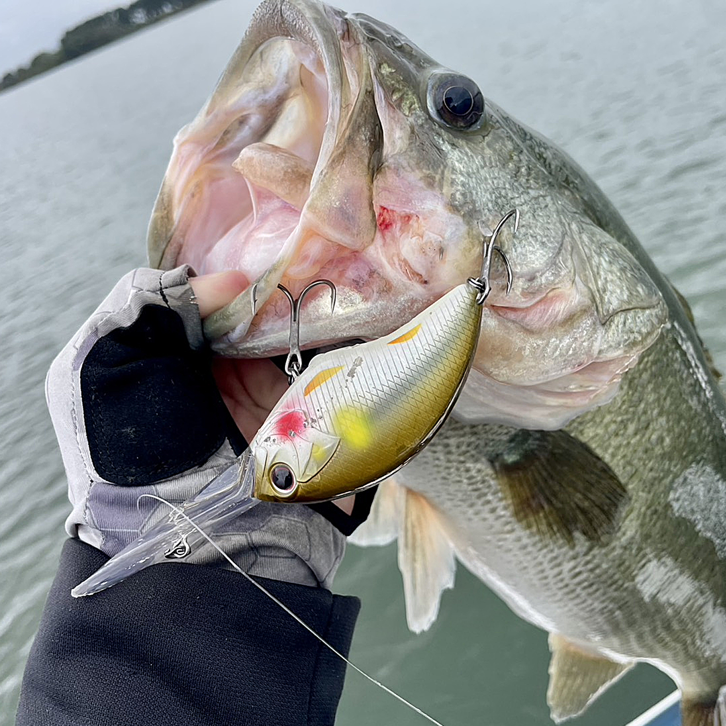 日本OSP深潜路亚crank鲈鱼假饵远投BLITZ MAX PLUS DR静音32g现货 - 图2