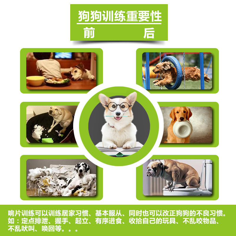 Pet Dog Horse Dog Training Tutorial Dog Training Equipment Supplies