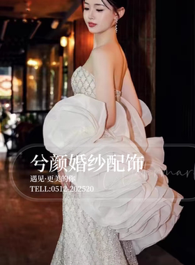 高级婚纱配饰白色欧根缎云感温柔甜美系仙女婚纱手袖披肩外搭超美