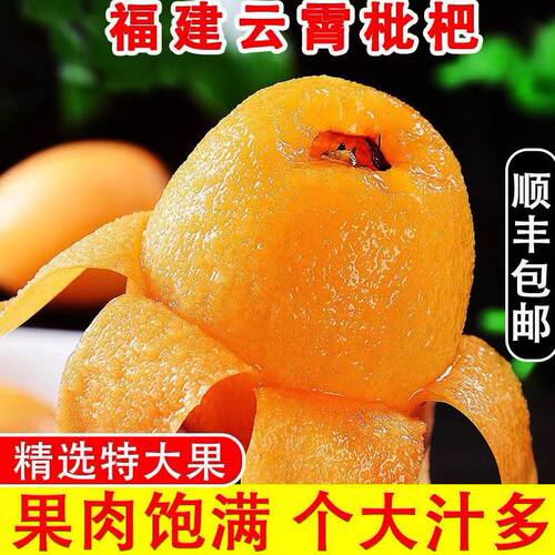 顺丰包邮5斤正宗云霄枇杷新鲜水果当季整箱礼盒鲜果琵琶大果批把 - 图2