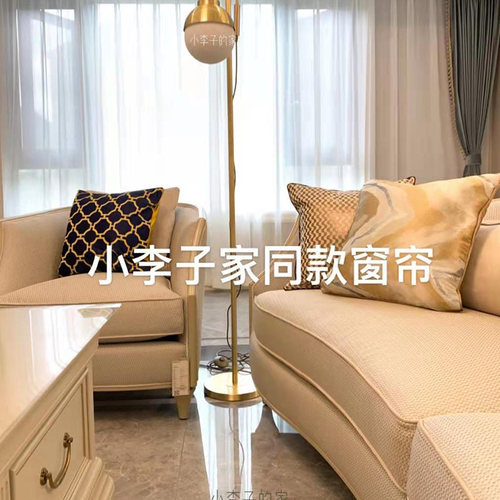 小李子同款窗帘轻奢美式灰色丝绒深色窗帘天鹅绒布欧式别墅样板房 - 图0