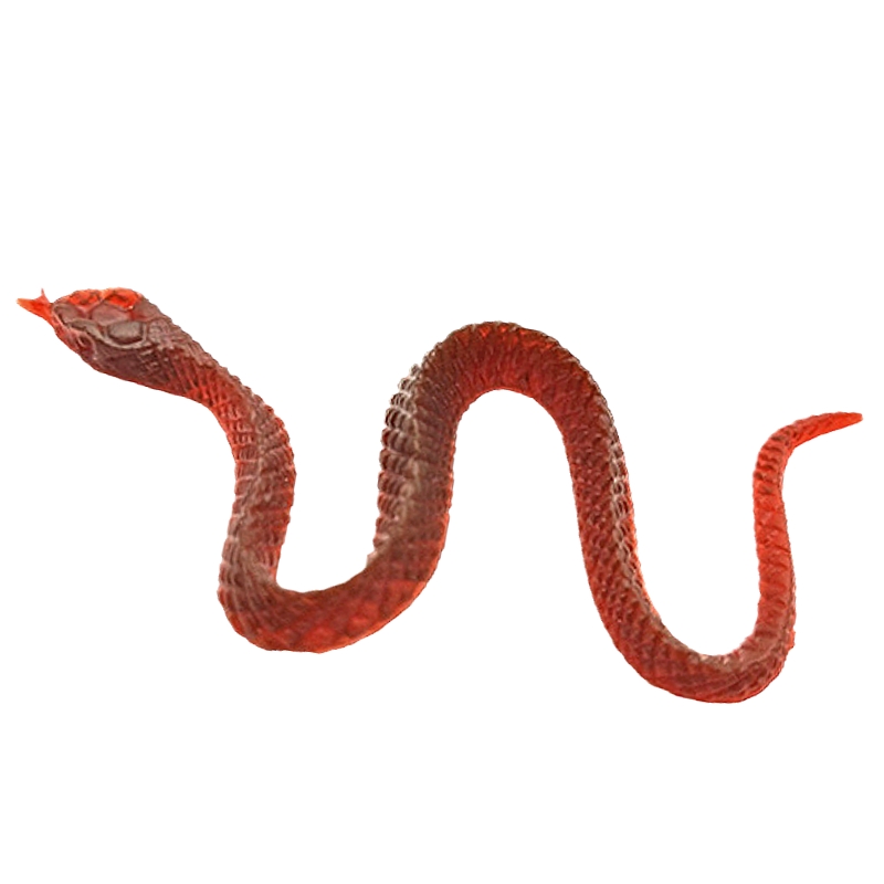 仿真迷你小蛇苍蝇蜘蛛蚂蚁套装幼儿园儿童玩具蛇动物昆虫动物模型 - 图3