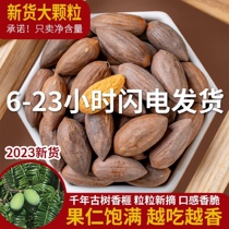 Fragrant torreya dried fruit original flavor fried stock Shooshing products Casual Eating Snack Foods No Added Bagged Nut Cilantora Tree Fruit Tree Fruits