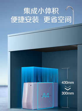 A.O.史密斯厨下家用小体积直饮过滤净水器R1700SWi-T
