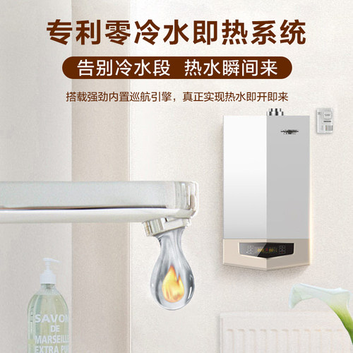 【门店在售】AO史密斯燃气壁挂炉天然气家用零冷水两用锅炉33S9 - 图3