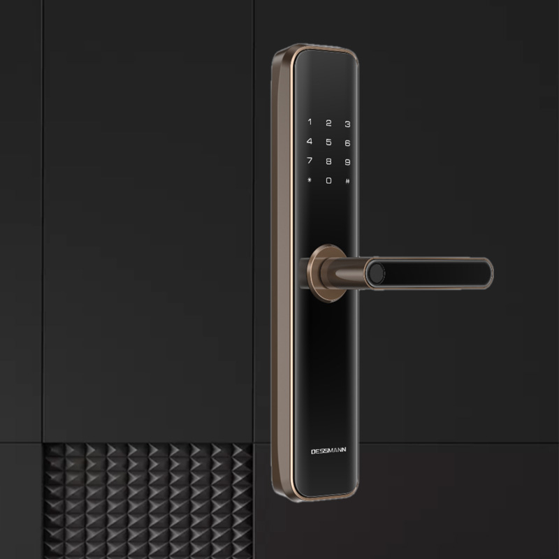 德施曼指纹锁家用防盗门密码锁智能门锁感应锁电子锁G100 - 图1