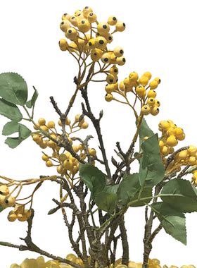 新中式仿真秋色橙色浆果干支花艺盆景样板间玄关茶几水吧台前台