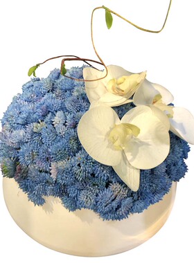 现代简约仿真蓝色菜花果子套装花艺餐桌玄关前台洽谈桌售楼处