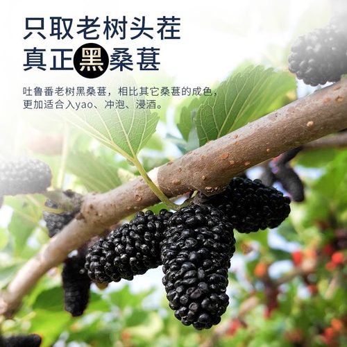 新疆桑葚干黑桑椹特级官方旗舰店正宗泡水优质泡酒专用优质免洗果 - 图3