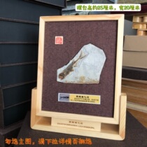 New Liaoxi Chaoyang ancient biogenic stone home craftsmanship ornament Chen set up a fish fossil photo frame for more than a year