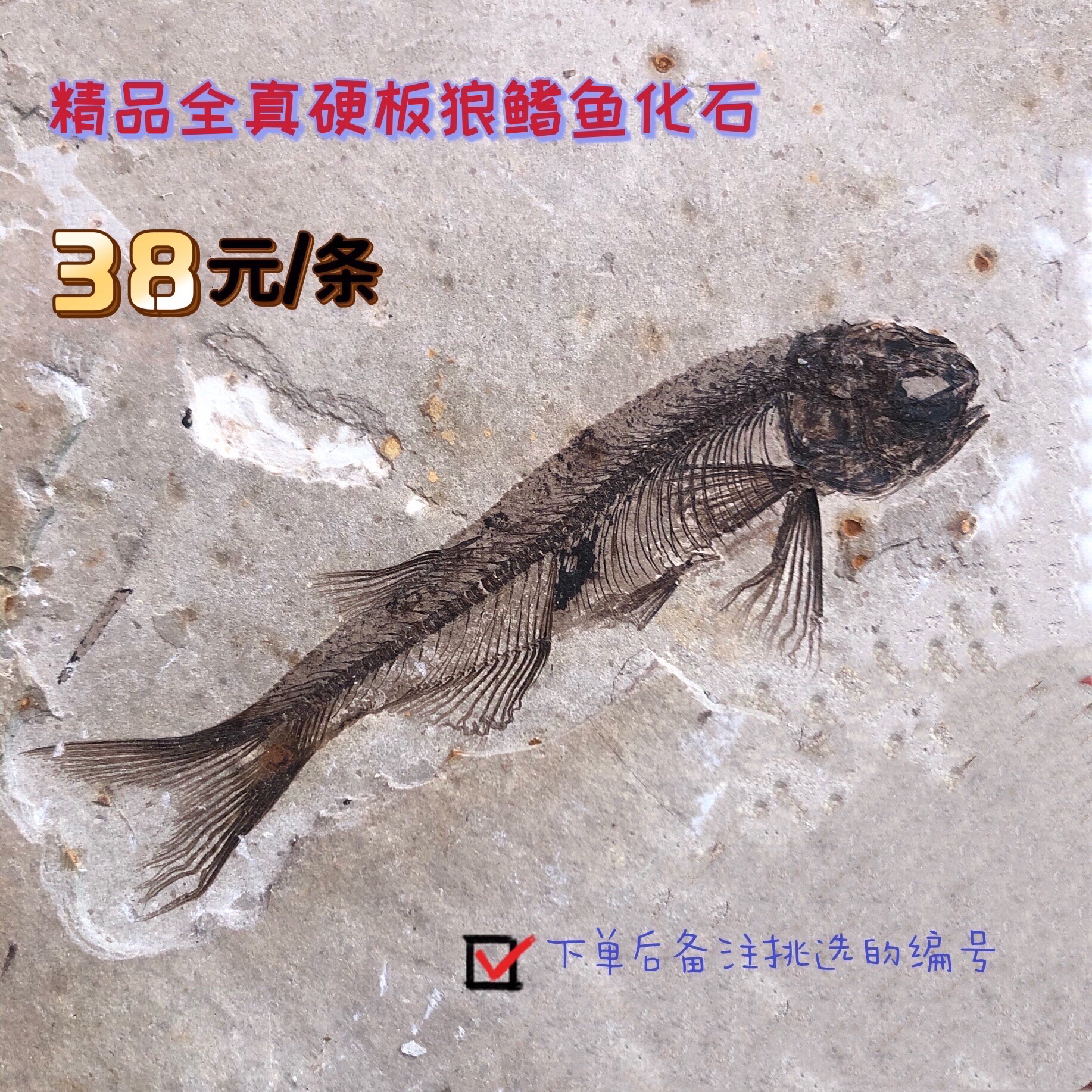 辽西化石- Top 500件辽西化石- 2023年7月更新- Taobao